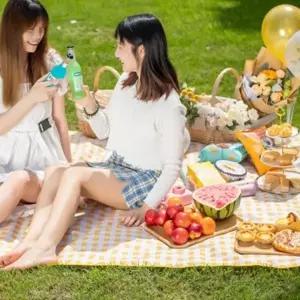 돗자리 방수 피크닉 매트 휴대용 캠핑 대형 나들이 체크