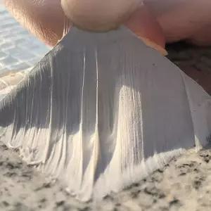 옥외 균열보수 누수차단 실링테이프 지붕보수 베란다 틈새메움 방수처리 보수자재