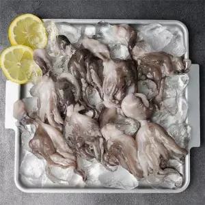 [NS홈쇼핑]급냉 손질 통 왕쭈꾸미 350g 2팩[35670940]