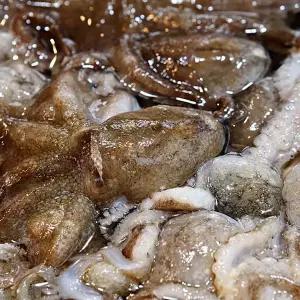 [NS홈쇼핑]생물쭈꾸미 1kg[35739975]