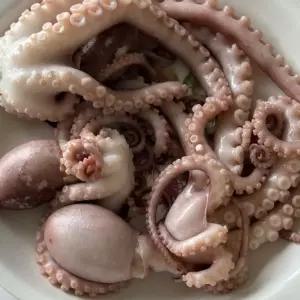 싱싱한 초대왕 냉동 낙지 6미 업소용 연포탕 낙지볶음