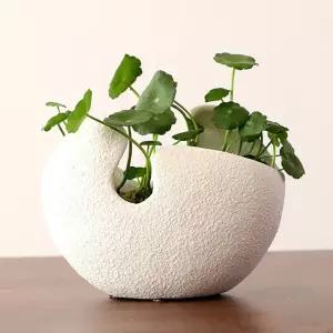 물확 연꽃 수반 화분 도자기 미니 토분 인테리어 자연석