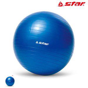 보수볼 밸런스 짐볼운동 하프 필라테스볼 발란스 땅콩 요가 헬스 짐볼 45cm 미니 블루