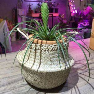 화분바구니-2중 비닐 화분 커버 (소소형) 19x23cm