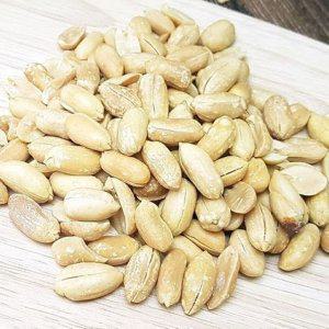 VGC 조미 깐땅콩 800g 튀김땅콩