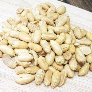 VGC 조미 깐땅콩 800g 튀김땅콩 (반품불가)