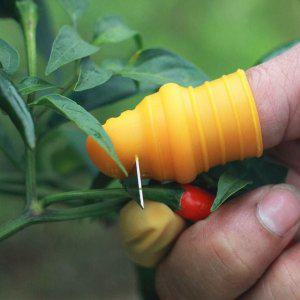 따기 엄지칼 야채 톱날 수확 고추 채소 엄지