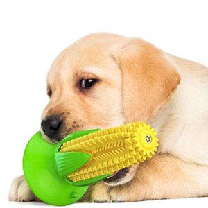 노즈워크 터그놀이 강아지 장난감 칫솔 세트