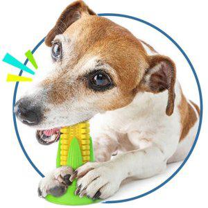 노즈워크 터그놀이 강아지 셀프 장난감 키밍 칫솔