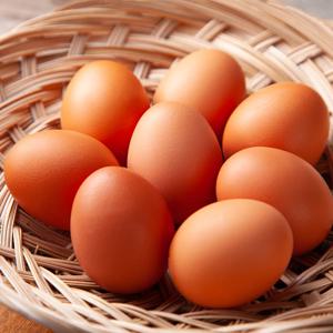 무항생제 동물복지 계란 유정란 20구 40구