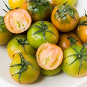 단짠단짠 부산 대저토마토 짭짤이토마토