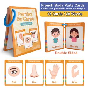 15개의 신체 부위 및 오감 프랑스어 어휘 학습 카드 어린이 홈스쿨용 양면 28단어 교육용 플래시카드