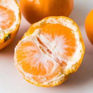 제주 성전귤 보석귤 신품종 상큼달콤한 감귤