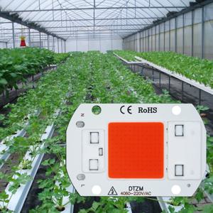 AC220V 10W 20W 30W 50W LED COB 칩, 피토 램프, 전체 스펙트럼 실내 식물 묘목 및 꽃 성장 diy용