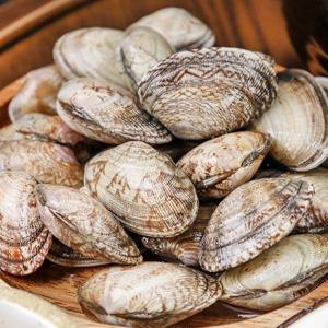 국내산 25년 왕바지락 특A급 1kg