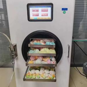 동결 건조기 진공 동결 건조기 애완 동물 사료 과일 건조 동충하초 실험실 소형 동결 건조 장비