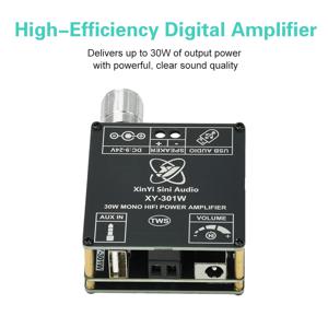 DC 9-24V XY-301W 모노 30W BT5.2 디지털 오디오 앰프 보드 TWS 트루 와이어리스 박스 연결 스테레오 지원 WAV/FLAC/APU/MP3