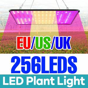 식물 성장등 LED 풀 스펙트럼 퀀텀 보드 레드 블루 UV IR 씨앗 성장 램프 220V/110V 과일 재배 조명