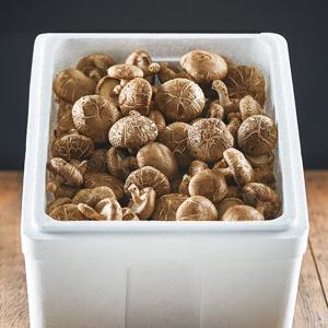 늘바른 국내산 친환경 무농약 표고버섯 못난이 2kg