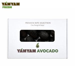 [얌얌] 바로먹는 후숙 아보카도 1.8kg (7-8입) 가정용 선물용