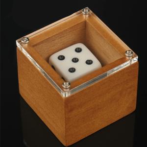 매직 주사위 매직 소품 주사위 트릭 도트 번호 변경 주사위 매직 무대 환상 소품 어린이를위한 장난감 성인