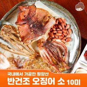 원양산 국내가공 반건조 오징어 소 10마리 800g 내외