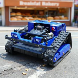 맞춤형 원격 제어 잔디 깎는 기계 LONCIN 224CC 무선 잔디 깎는 로봇 EPA CE 인증 농업 도구