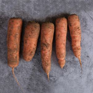 못난이 주스용 당근 혼합과 1kg 외 중량별 선택