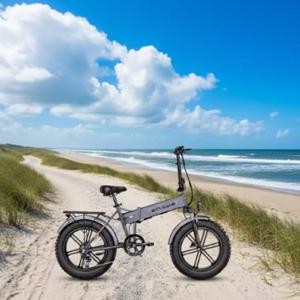 드롭쉬핑 유럽/미국 창고 엔지웨이 EP-2 프로 48V13Ah 45Km/H 전기 자전거 750W 광폭 타이어 산악 전기 자전거