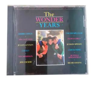 CD 더 원더 이어스 크로스 시대 미국 팝 골든 송 플래터 + 드라마의 청춘 서사 배경