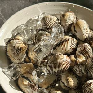 남해 벌교 새꼬막 1kg 부터. 중 상 대 특대 여자만 산지직송 신선한 꼬막 당일조업 당일발송