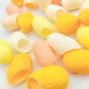 천연색 누에 누에고치 10개