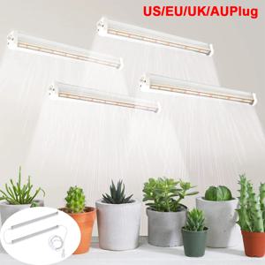 51LED T5 성장 조명 빨간색 흰색 전체 스펙트럼 높은 PPFD 식물 라이트 스트립 확장 가능한 온실 파종 식물 램프 플러그 메인