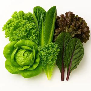 무농약 샐러드야채 500g ~ 2kg 선택 (2~5종 랜덤발송)