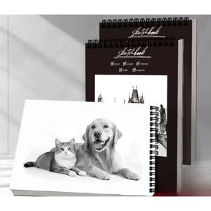 A3/A4/A5/A6 스케치북 상단 나선형 바인딩 스케치 보드 30매 1팩 무산성 아트 스케치북 아트 스케치 그림 쓰기