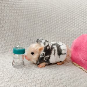 5인치 실리콘 돼지 새끼 부드럽고 귀여운 미니 리얼리틱 동물 액세서리 포함 생생한 리본 신생아 돼지 인형 스트레스 해소 장난감 선물