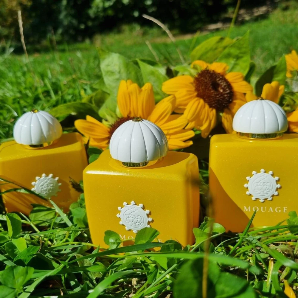 100ml 여성용 AMOUAGE 향수 오래 지속되는 럭셔리 오리엔탈 플로럴 향수 컬렉션, 매콤하고 우디 향이 나는 과일향과 달콤하고 우아한 향