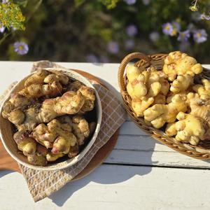 제철 흙생강/세척생강 500g ~ 5kg 선택