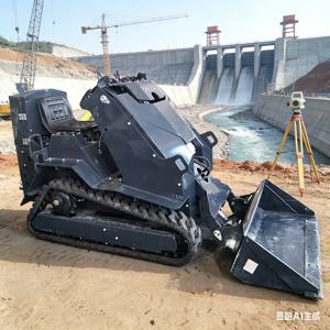 맞춤형 미니 디젤 스키드 스티어 다기능 로더 스키드 슬라이딩 소형 크롤러 유압 신기능 트랙 로더