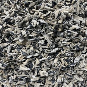 무농약 건목이버섯 L2cm이상 마라탕 마라샹궈 짬뽕 잡채볶음 무침