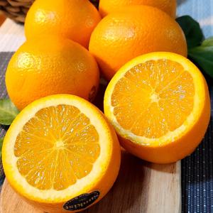 프리미엄 수입산 블랙라벨 오렌지 (중과/개당190g)