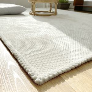 한스갤러리 극세사 거실 패드 소형 대형 특대형 겨울 러그 카페트