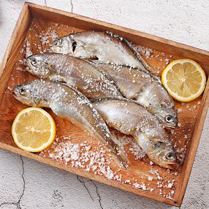 참바다 영광굴비 실속 굴비선물세트