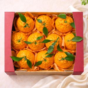 [부직포가방포장]고당도 써니트 한라봉 2.6kg 명절 선물세트