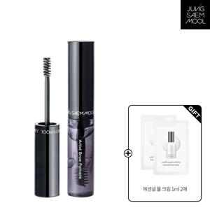 아티스트 브로우 포마드 + 에센셜 물크림 1ml x 2매