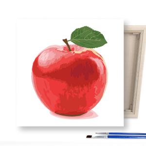 DIY캔버스형 그림그리기 25x25cm 미니 홍사과