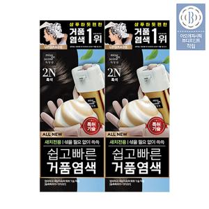 올뉴쉽고빠른 거품염색 80G 2입