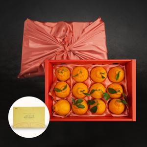 제주 산지직송 한라봉 /한라봉 선물세트 옵션별