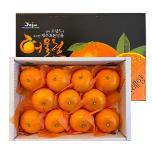 설 선물세트 제주 과일 천혜향 한라봉 레드향 3kg 선물용