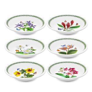 엑소틱 보타닉가든 파스타볼8인치 1p